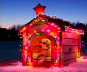 пазл Собака дома украшены к Рождеству